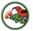 ʻŌiwi Leaders Mentoring Program