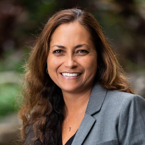 Waiʻaleʻale Arroyo